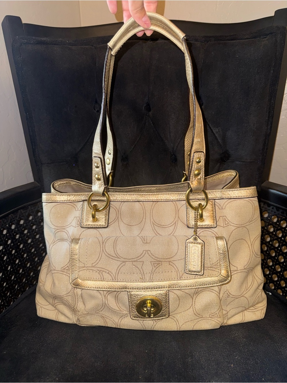 Coach Penelope Carryall
